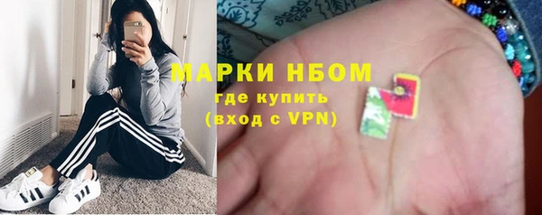 трава Белокуриха