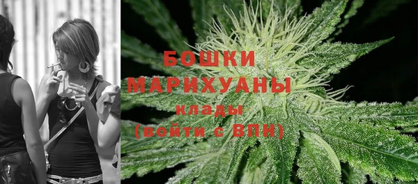 трава Белокуриха