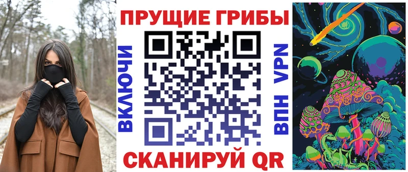 Псилоцибиновые грибы MAGIC MUSHROOMS  сайты даркнета телеграм  Гремячинск  где купить наркоту 